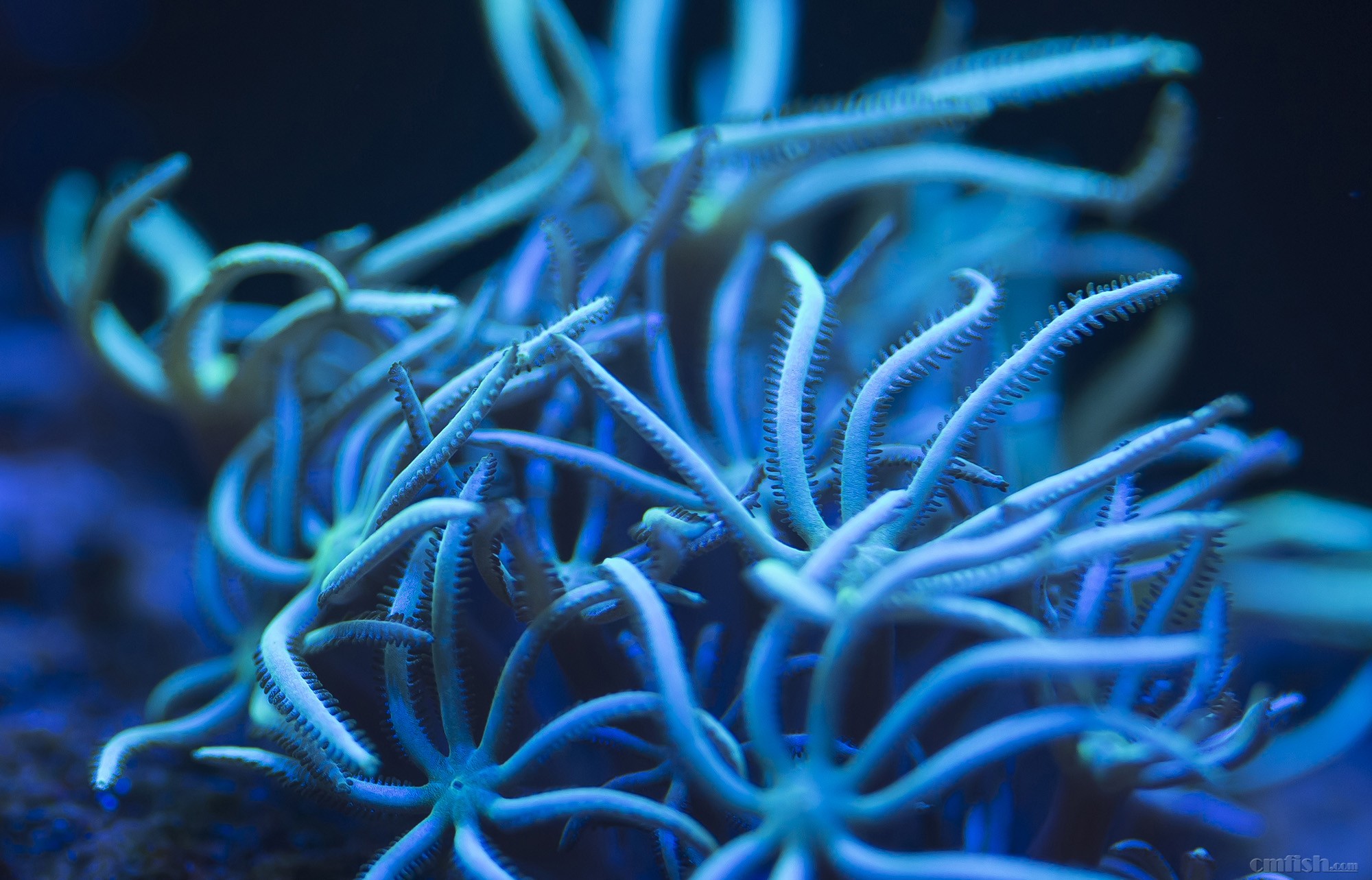 养的不好 咱拍的还行吧?啊哈哈哈哈!