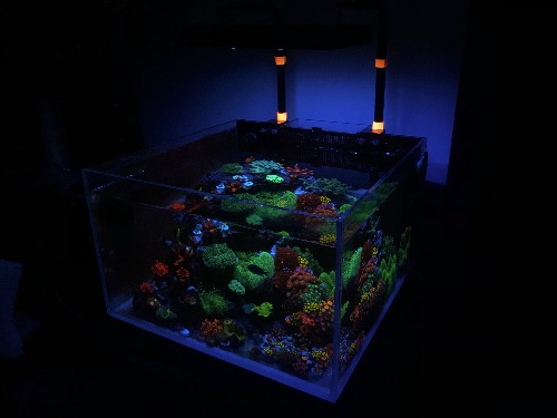 大陆地区美缸style系列:广西北海(17F更新)