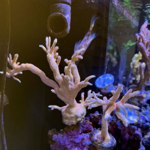 �������������