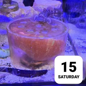 �������������