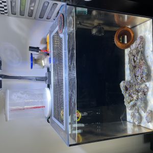 �������������