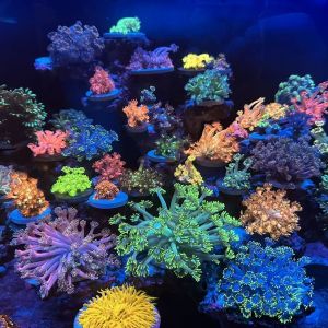 �������������