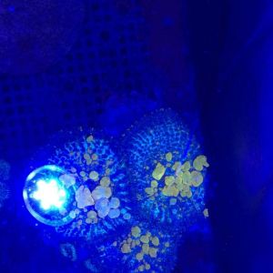 �������������