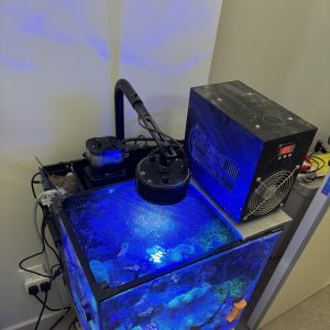 �������������