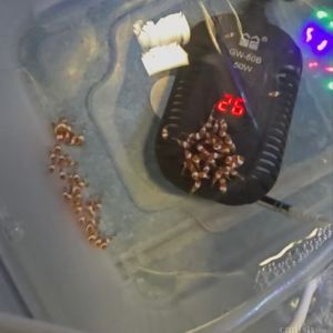 �������������