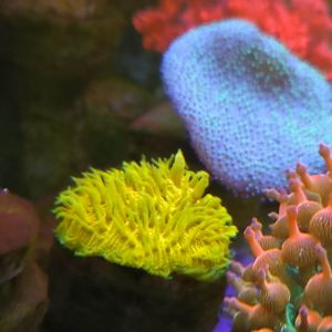 �������������