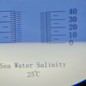 �������������