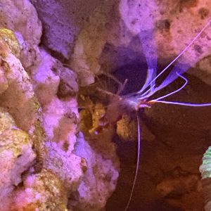 �������������