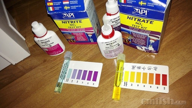 ��3��� ����NO2 NO3ȫΪ0.jpg