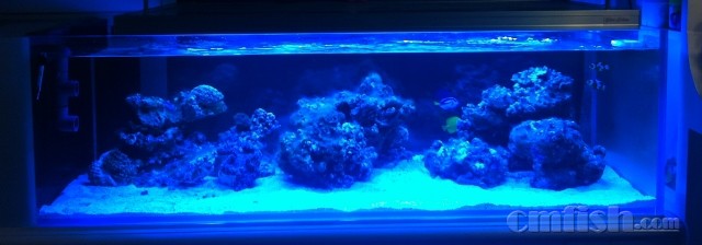 QQ��ͼ20150112124223 (640x224).jpg