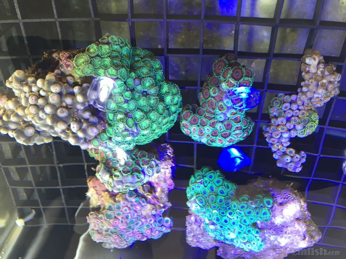 2015.1.23����