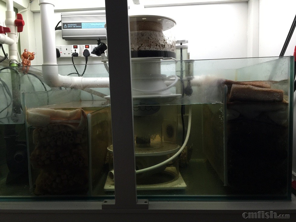 ��Ƭ 1-2-2015����5 47 01.jpg