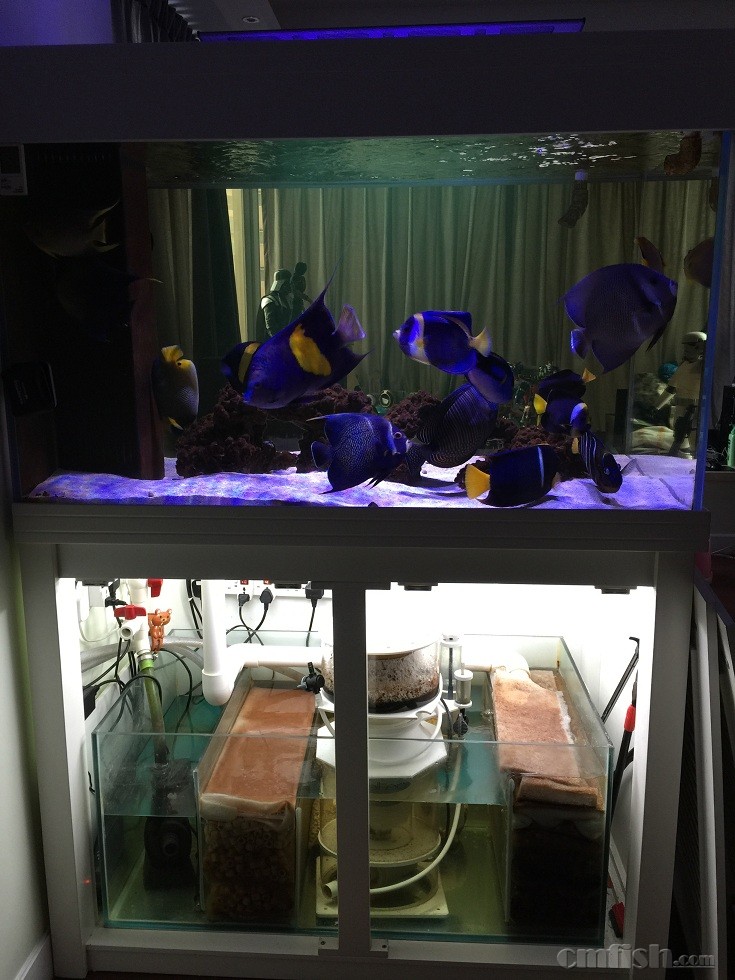 ��Ƭ 1-2-2015����5 46 44.jpg