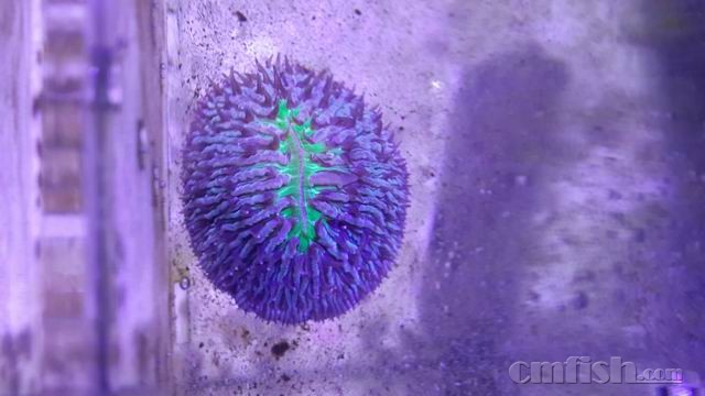 ������С 3.jpg