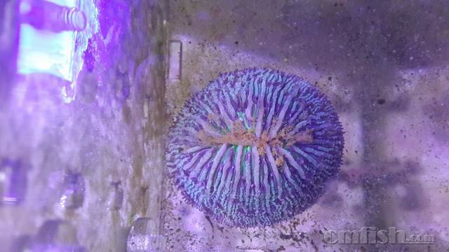 ������С 4.jpg