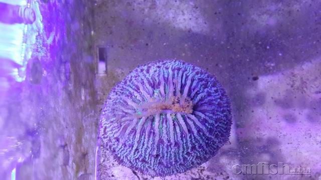 ������С 5.jpg