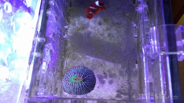 ������С 6.jpg