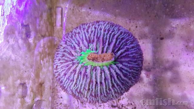 ������С 7.jpg