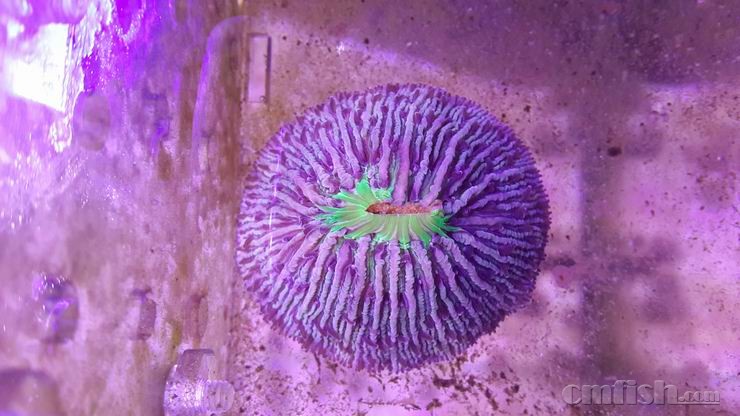 ������С 8.jpg