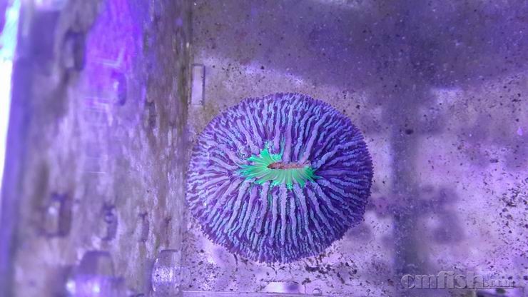 ������С 9.jpg