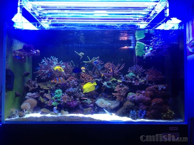 20150208220744_54d76db0d5ae0.jpg
