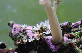C8_(BS~JUK(4SOWN(%H7G[8.jpg