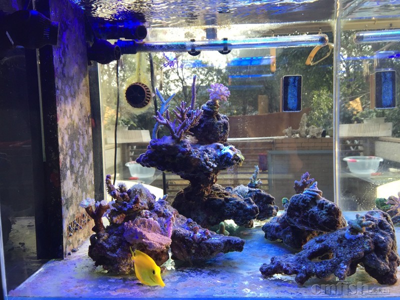 img_0240 IMG_02400.jpg