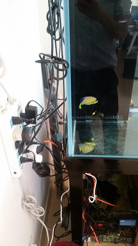 ������ͷ�۵ľ��ǿ�����Щ��