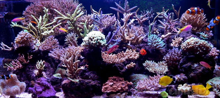 2015��2��25��