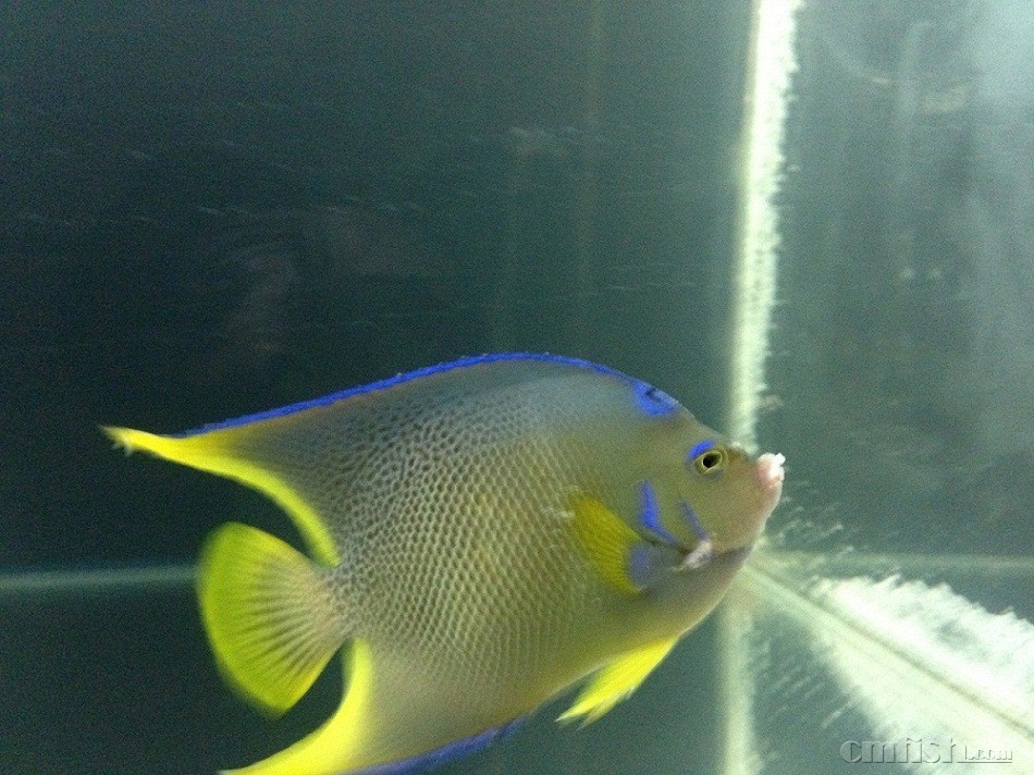 һ����֮ǰ�������Ƭ