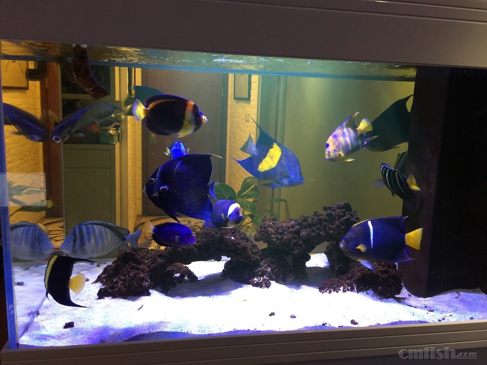 ��Ƭ 28-2-2015����7 06 23.jpg