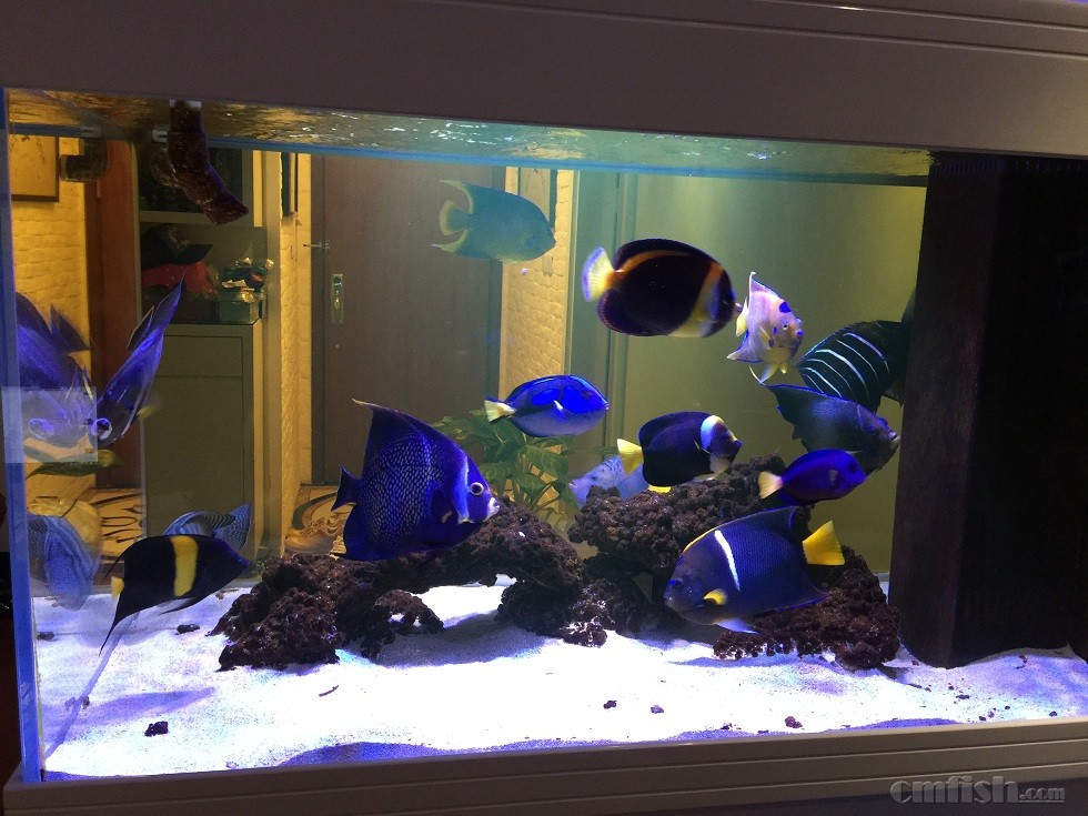 ��Ƭ 28-2-2015����7 06 25.jpg