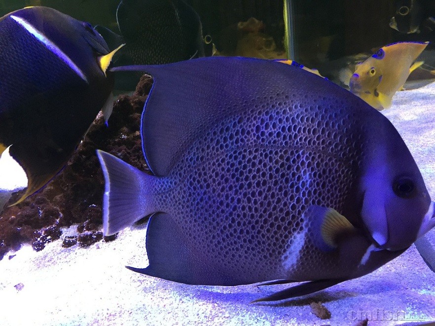 ��Ƭ 28-2-2015����7 02 08.jpg