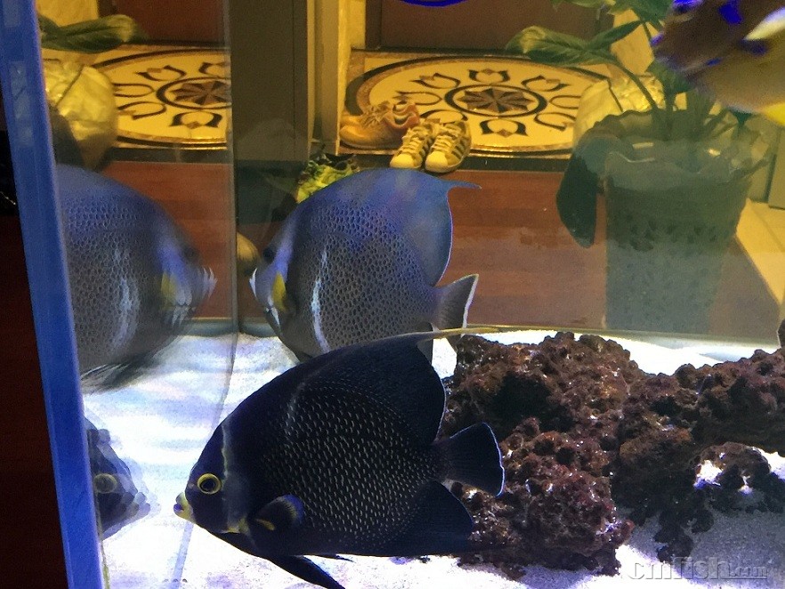 ��Ƭ 28-2-2015����7 10 42.jpg