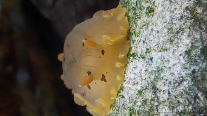 9-2015-03-09 04-42-41-936.jpg