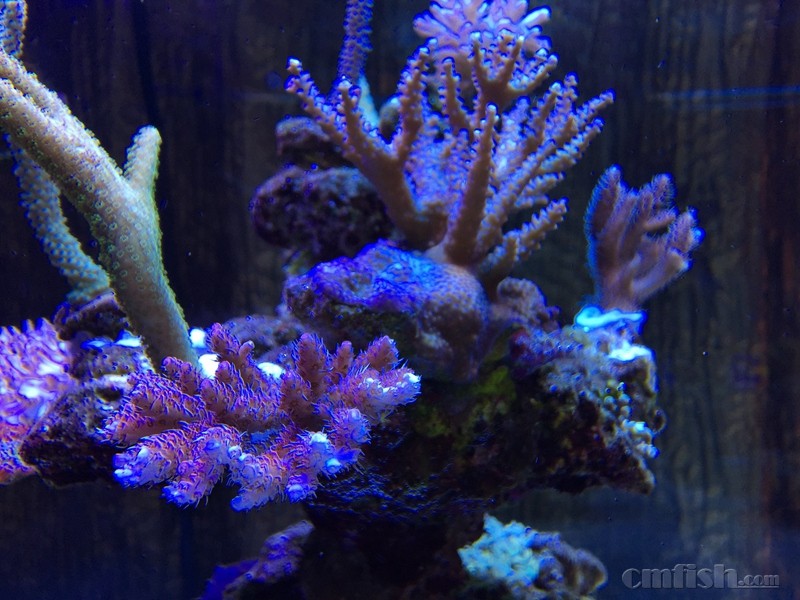 img_0371 IMG_03710.jpg