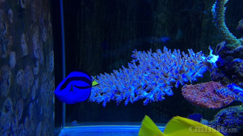 img_0382 IMG_03822.jpg