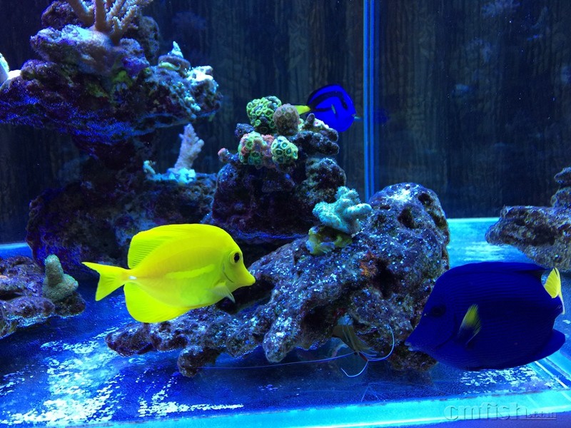 img_0327 IMG_03276.jpg