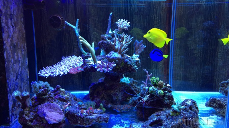 img_0370 IMG_03707.jpg