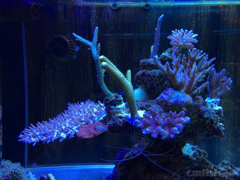 img_0379 IMG_03795.jpg