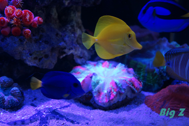 ��������������