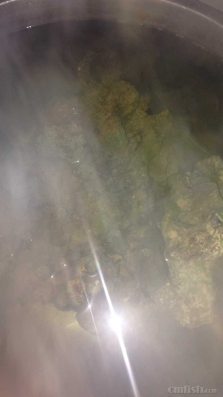 �׸���ʯͷ cooking