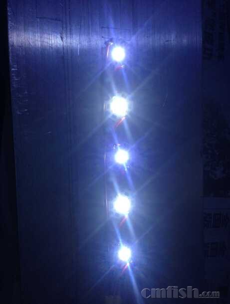 led3.jpg