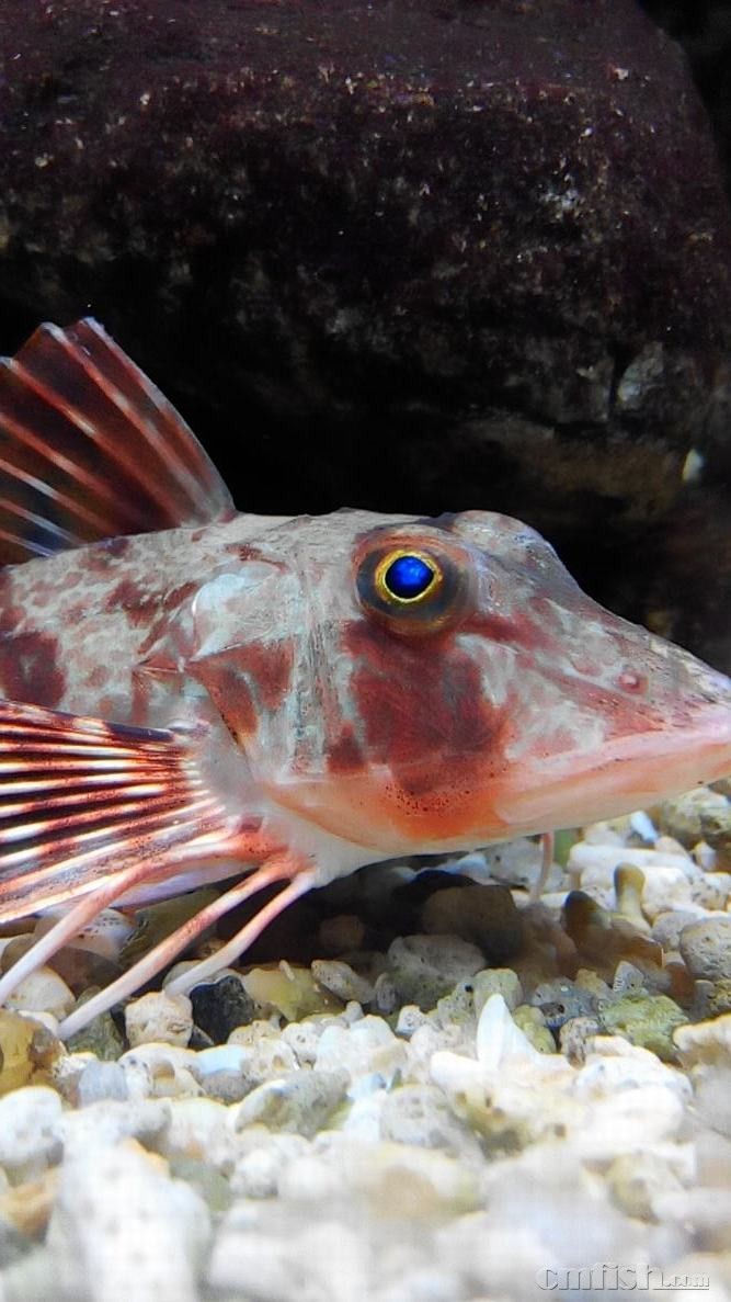 2015-03-17 10-28-09-371.jpg