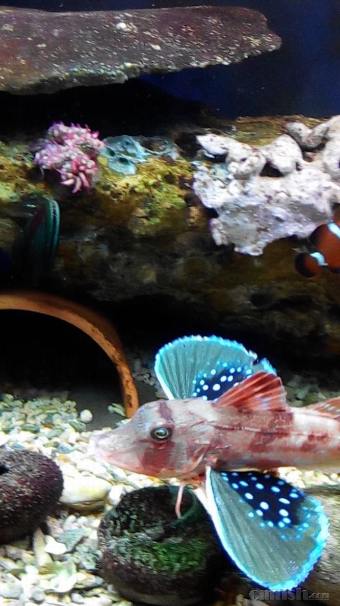 2015-03-16 01-50-27-178.jpg