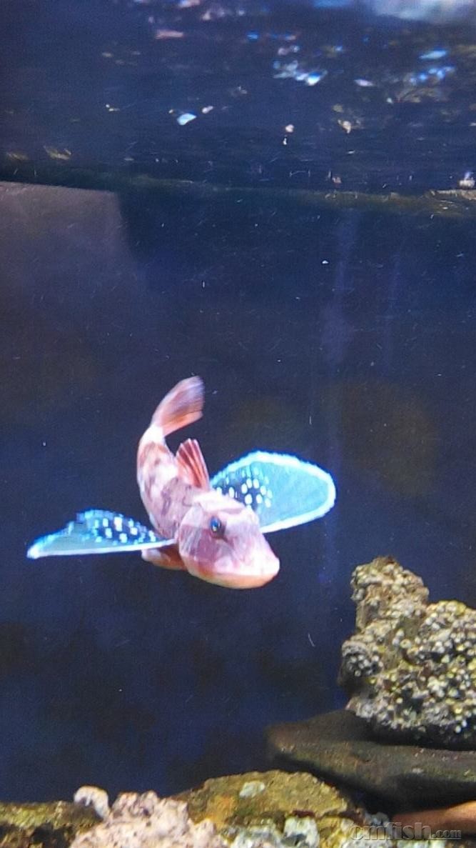 2015-03-16 01-52-30-033.jpg