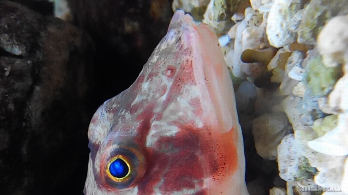 2015-03-17 10-28-46-285.jpg