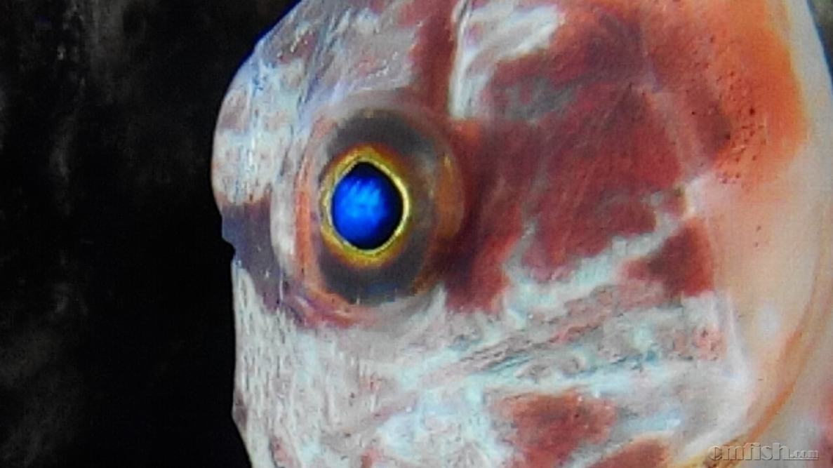 2015-03-17 10-29-56-589.jpg