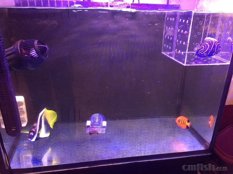 ��Ƭ 11-3-2015����9 52 48.jpg