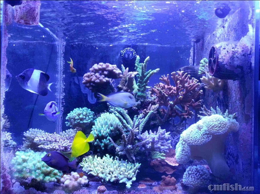 鱼缸测面.jpg
